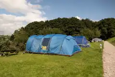 Electric Grass Pitches (3m x 5m) at Howgill Lodge