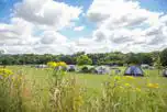Deluxe Grass Tent Pitches at Swiss Farm Touring and Camping