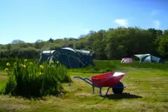 Wild Meadow Tent Pitches at The Meadows
