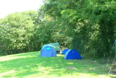 Non Electric Grass Pitches at Brynhaul Camping and Shepherds Huts