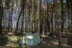 Wild Camping Castle View Pitches (Medium) at Ruberslaw Wild Woods Camping