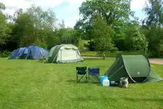 Electric Grass Pitches at Haywood Farm Caravan and Camping Park