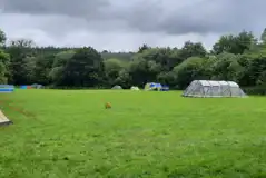 Non Electric Grass Tent Pitches at Lakemoor Devon Campsite