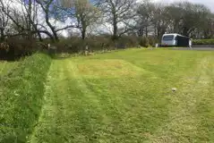 Grass Tent Pitch with Optional Electric (Barafundle) at Pelcomb Cross Campsite