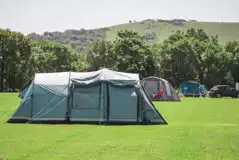 Non Electric Grass Pitches at Bramley Park Camping