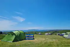 Non Electric Grass Tent Pitches at Donkey Down Campsite
