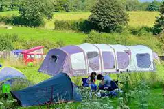 Large Grass Camping Pitches (Optional Electric) at Sizergh Caravan and Camping