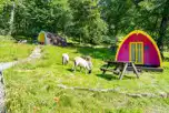 Eco Pods at Rydal Hall Campsite