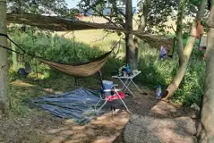 Woodland Pitches (Adult Only) at Little Ropers Camping