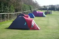 Electric Grass Tent Pitches at West Fleet Holiday Farm