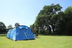 Electric Grass Tent Pitches at Bluebell Meadow Campsite
