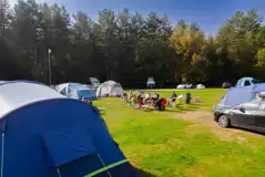 Electric Grass Pitches at Sherwood Pines Campsite