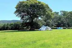 Non Electric Grass Tent Pitches at Porlock Vale Campsite