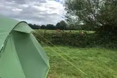 Non Electric Grass Tent Pitches at Heron's Rural Retreat