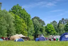 Non Electric Grass Tent Pitches (Quiet Area) at Sunset Tree Camping