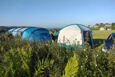 Non Electric Grass Pitches (Donkey Field) at Coverack Camping
