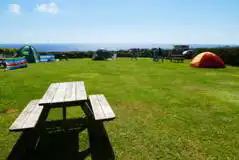 Grass Pitches  at Treen Farm Campsite
