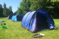 Grass Tent Pitches  at Patteson Lodge