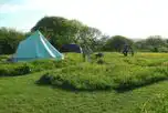 Non Electric Grass Campervan Pitches at Bakesdown Farm Camping