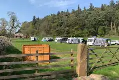 Electric Touring Pitches (Adult Only) at Mains Farm Campsite