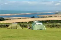 Electric Grass Tent Pitches at Sea Barn Farm Camping Park