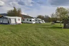 Non Electric Grass Pitches at Broadmeadow Campsite