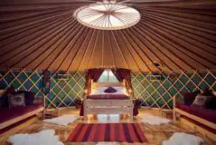 Large Family Yurt at Nesta Camping