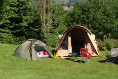Grass Tent Pitches at Lime Tree Holiday Park