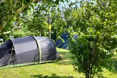 Electric Grass Pitches  at Rodney Stoke Caravan and Camping Park