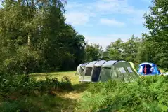 Woodland Meadow Pitches at Beech Estate Campsite