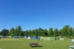 Lower Meadow Non Electric Grass Pitches at Whitlingham Broad Campsite