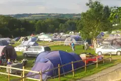 Grass Tent Pitches at Hopley's Family Camping