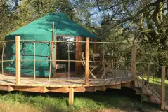 Elder Yurt at Organic Welltree