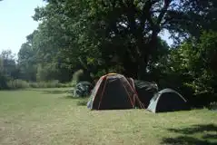 Non Electric Grass Tent Only Pitches at St Leonards Farm Caravan and Camping Park