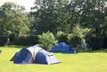 Extra Large Non Electric Grass Pitches at St Leonards Farm Caravan and Camping Park