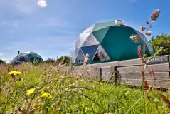 Couples Geodomes  at Brynteg Glamping
