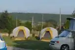 Grass Tent Pitches at Thornhills Touring Park