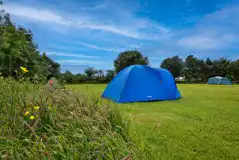 Non-Electric Grass Tent Pitches at Tros Y Waen Holiday Park
