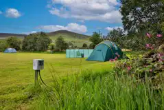 Electric Grass Tent Pitches at Tros Y Waen Holiday Park