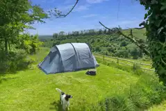 Non Electric Grass Tent or Campervan Pitch at Huxtable Farm