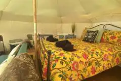 The Boreal Belle at Owley Woods Glamping