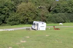 Hardstanding Pitches at Fosfelle