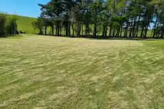 Woodland: Non Electric Grass at The Dales Camping and Caravanning