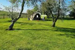 Orchard: Premium Non Electric Grass at The Dales Camping and Caravanning
