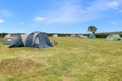 Non Electric Grass Pitches at Hardyes Countryside Camping