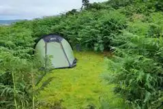 Small Non Electric Grass Tent Pitches at Isle of Gigha Camp and Motorhome Site