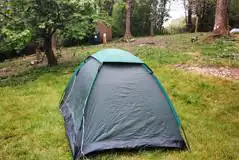 Non Electric Grass Tent Pitches at Pantybarcud