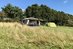Summer Camping Field at Silver Sands Holiday Park