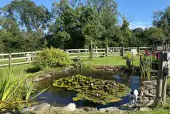 Pond outside the Tipi tent