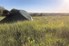 Yarrow (Non Electric Grass Tent Pitch) at Patch of the Planet